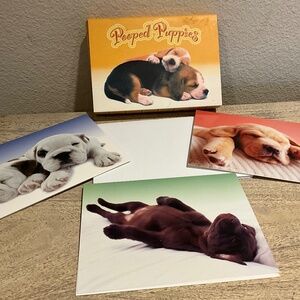 Dog Note Card Set Puppies Cards NEW - 7 Cards 7 Envelopes in Box